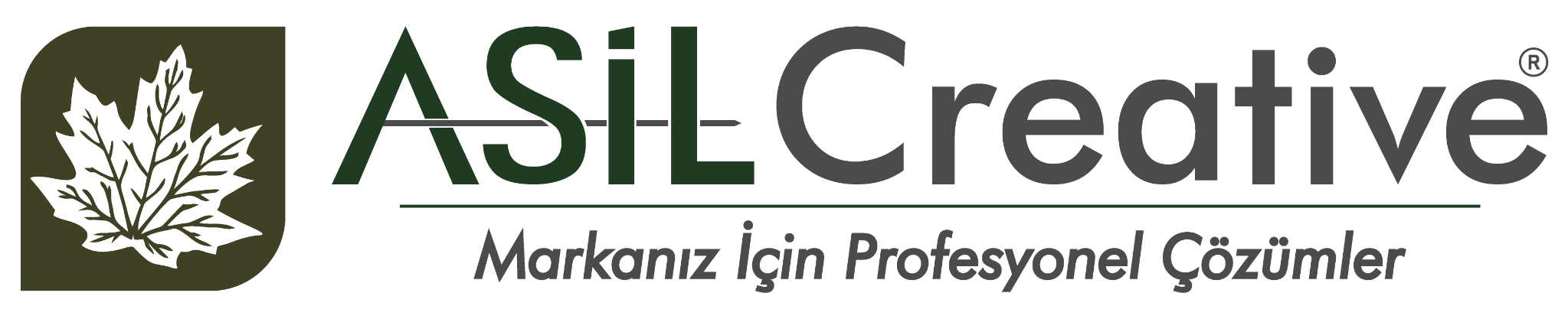 Asil Creative — Markanız İçin Profesyonel Çözümler